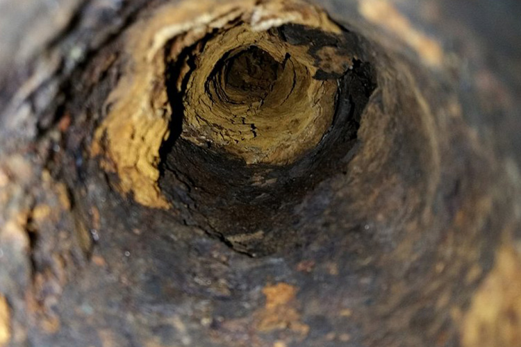 Repairing-Sewer-Lines-Lacey-WA