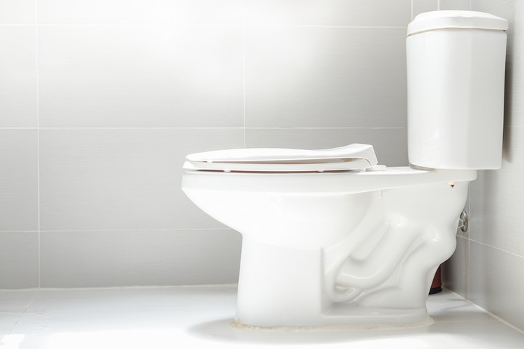 Commercial-Toilet-Repair-Meridian-ID